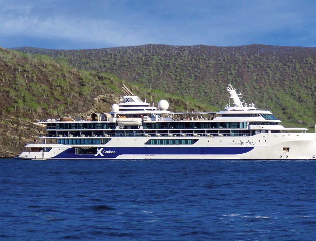 Celebrity Flora